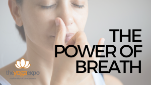 the power of breath for stress